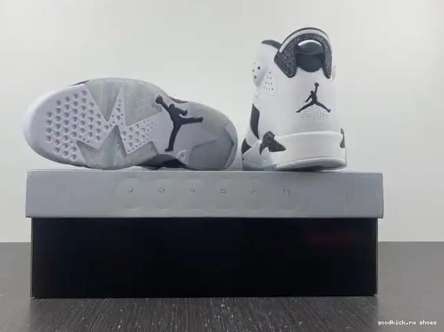 Retro 384664-101 6 Oreo Jordan 0610